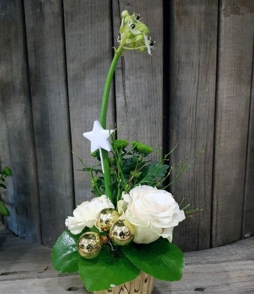 Composition pour Noël | Fleuriste (88)